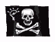 The Jolly Roger-Newton Flag